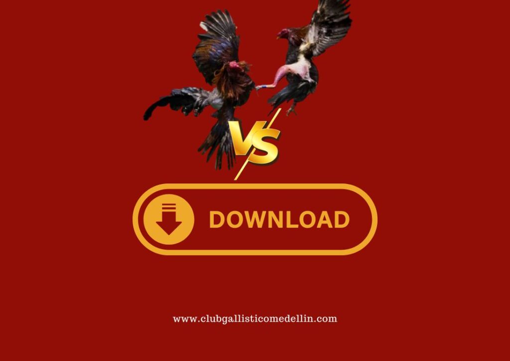 Combate Individual para Descarga