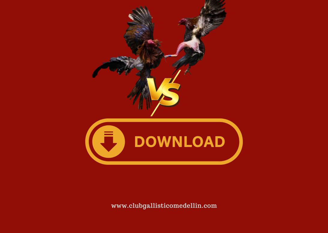 Combate Individual para Descarga