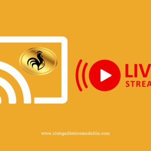 Streaming Live - 1 Día