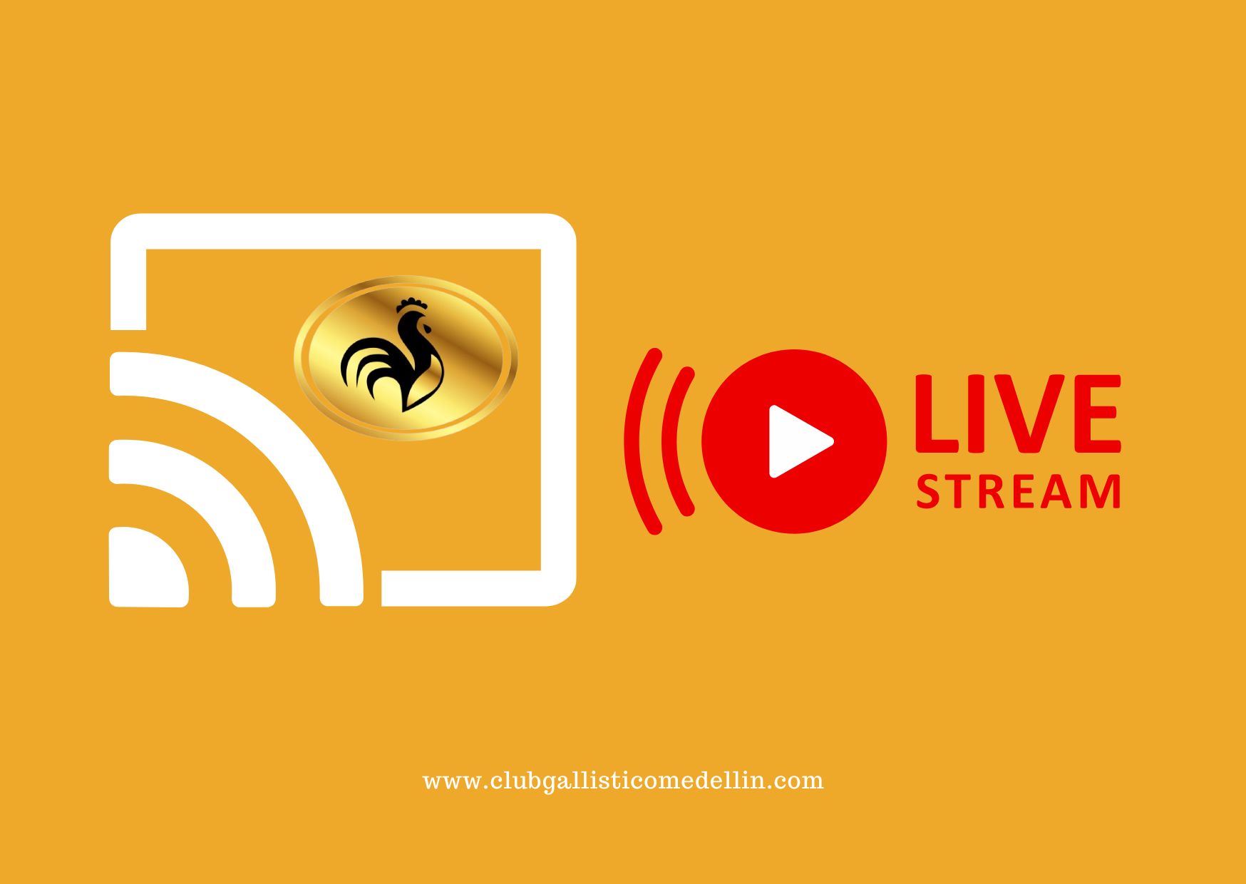 Streaming Live - 1 Día